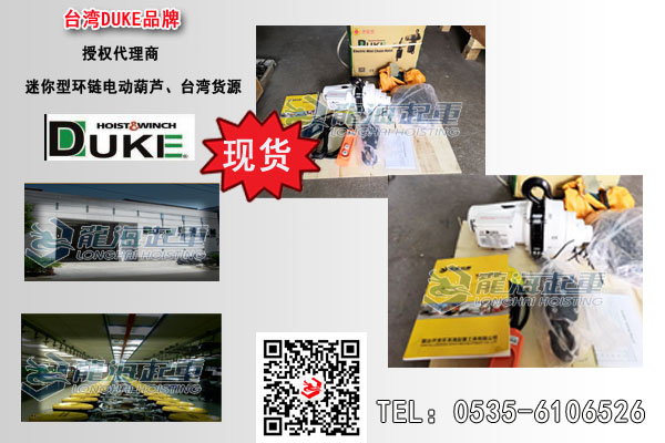 DUKE迷你环链电动葫芦图片