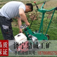沧州四季青草坪移植机 高产高效汽油起草皮机 本田汽油起草机